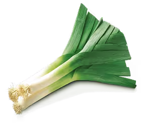 leek