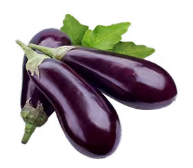 eggplant